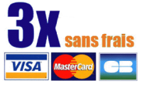 paiement-carte-grise-3-fois-300x181